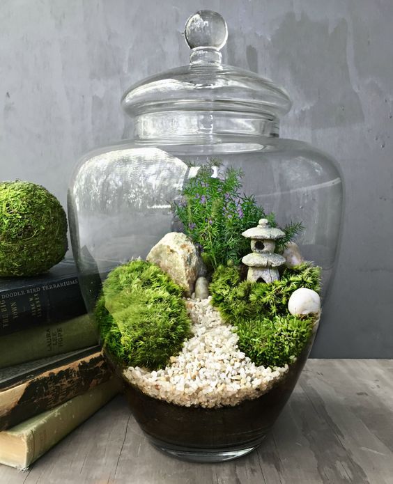 DIY : Le Terrarium, l'objet déco ultra tendance !