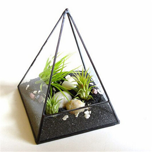 Coup de coeur de la semaine #18 : Le terrarium maison