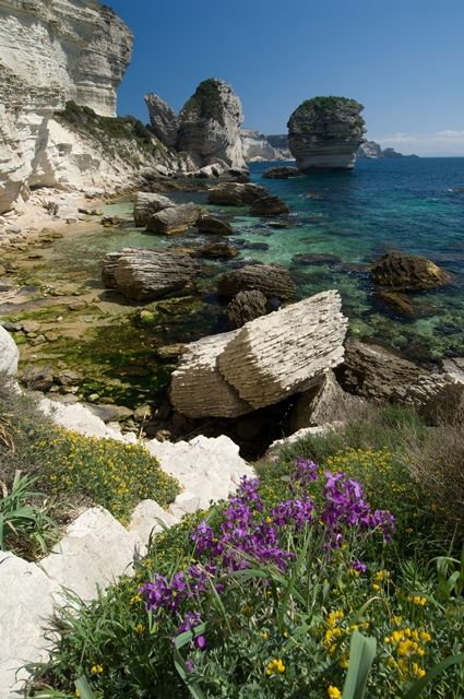 Destination l'Île de Beauté, au cœur du maquis Corse