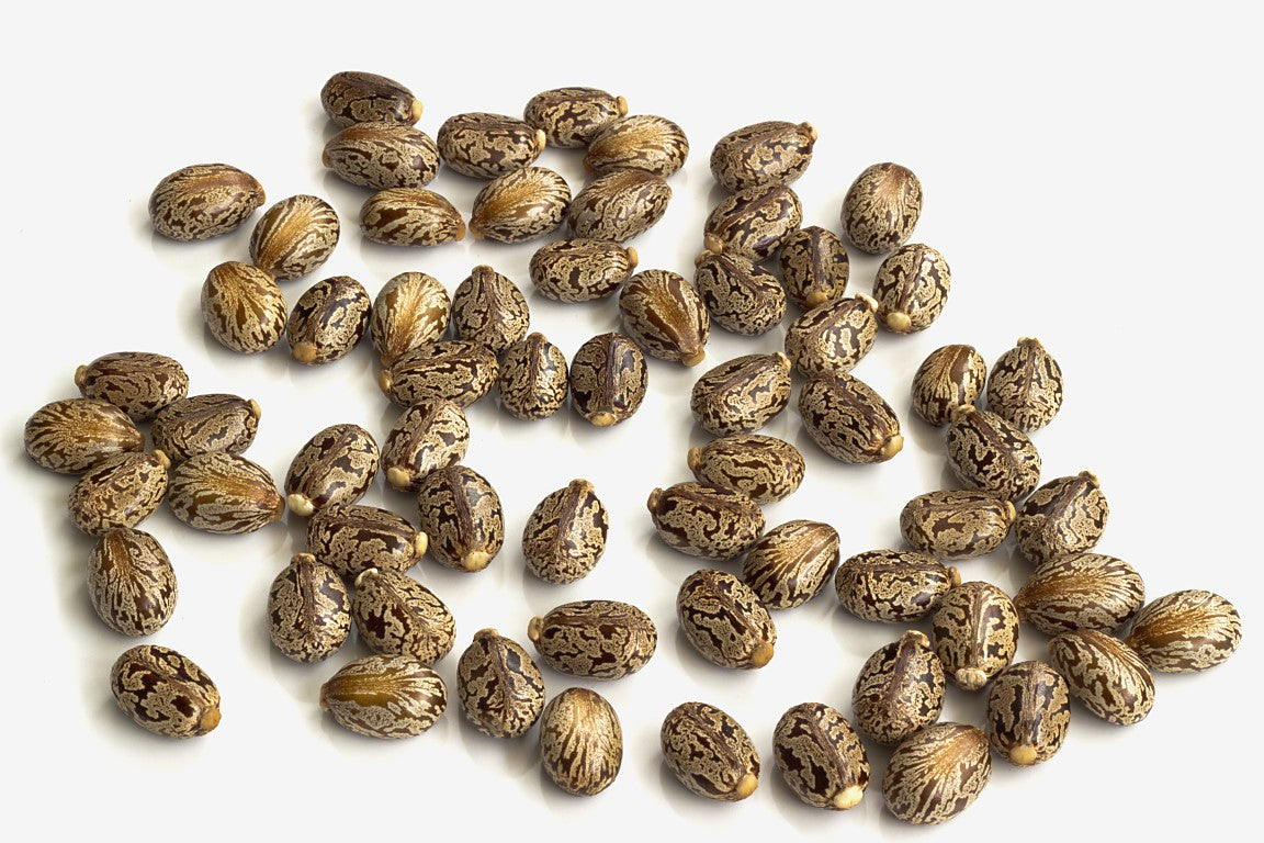 Coup de coeur de la semaine #26 : l'huile de ricin !