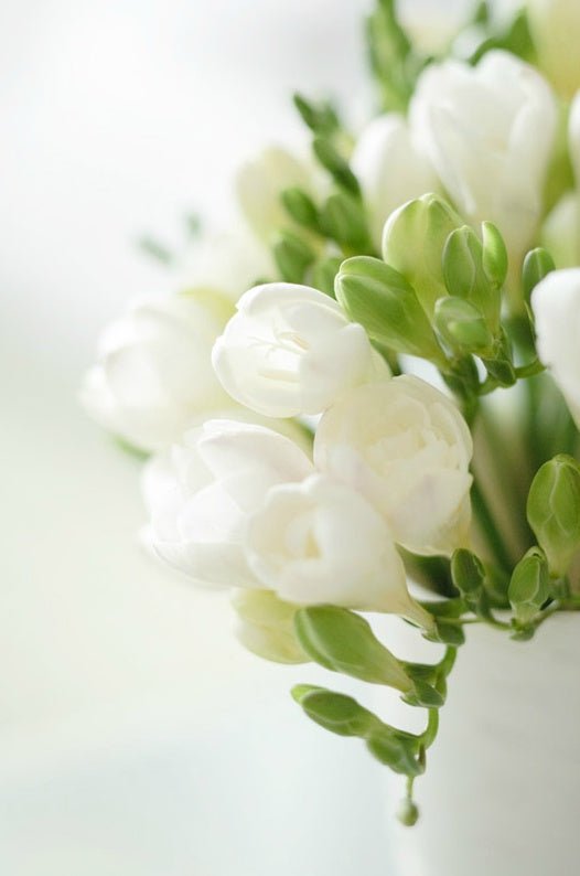 La bougie Parfumée Freesia - La Belle Mèche