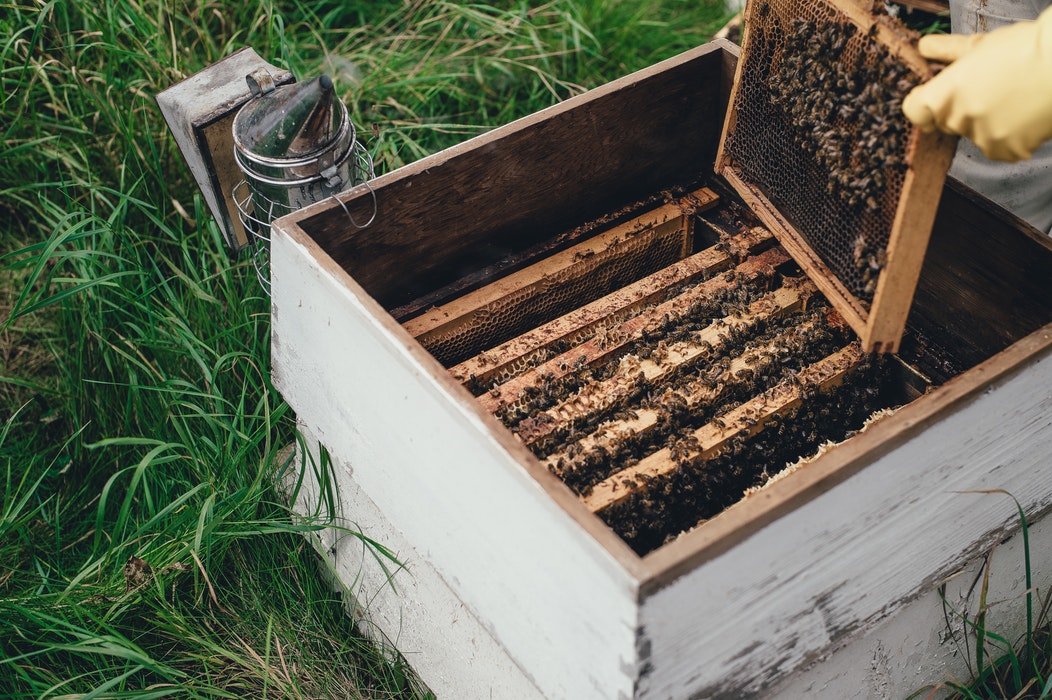Fabrication des bougies : quelle cire choisir ?